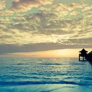 Meet your Posher, Robin